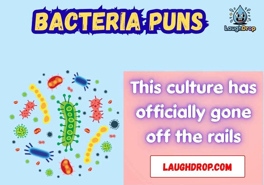 Bacteria Puns Dirty