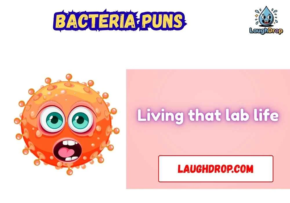Clever Bacteria Wordplay