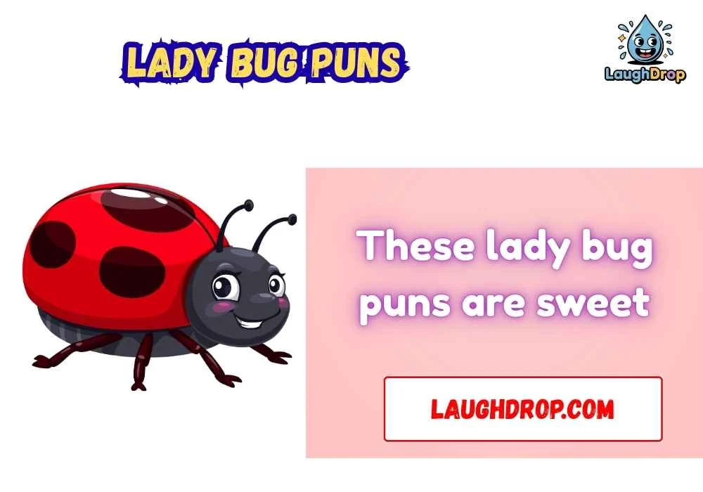 Lady Bug Puns