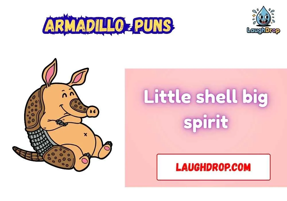Punny Armadillo Quotes 