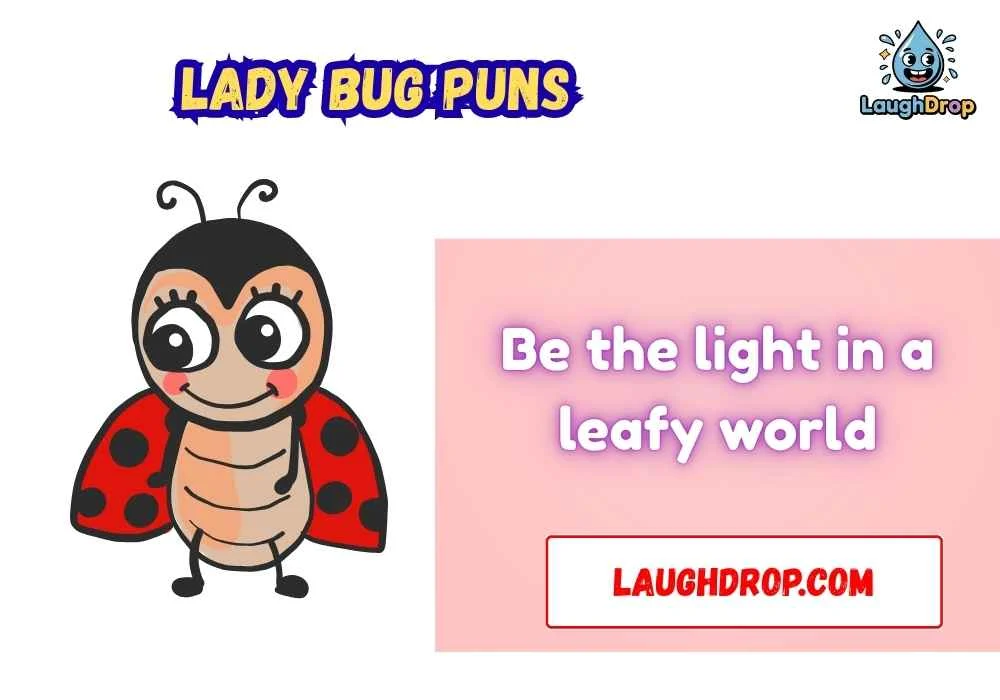 Punny Lady Bug Quotes 
