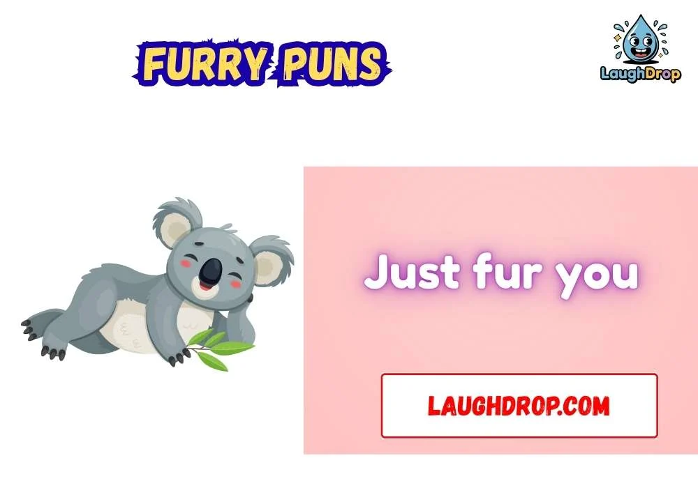 The Best Furry Jokes