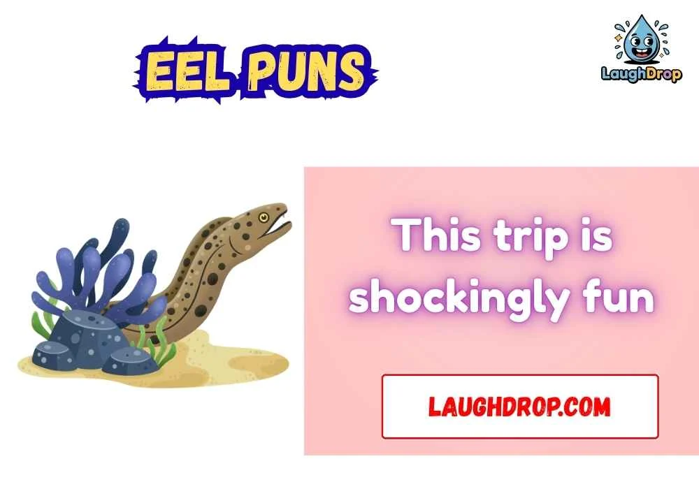 Travel-Friendly Eel Puns