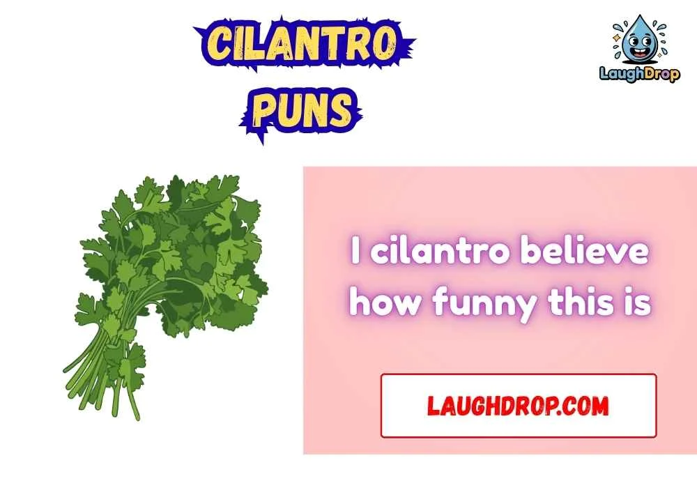 Cilantro Puns