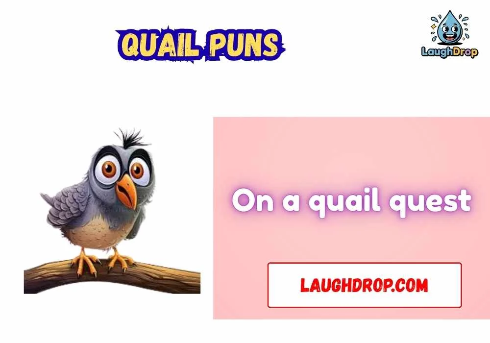 Clever Quail Wordplay