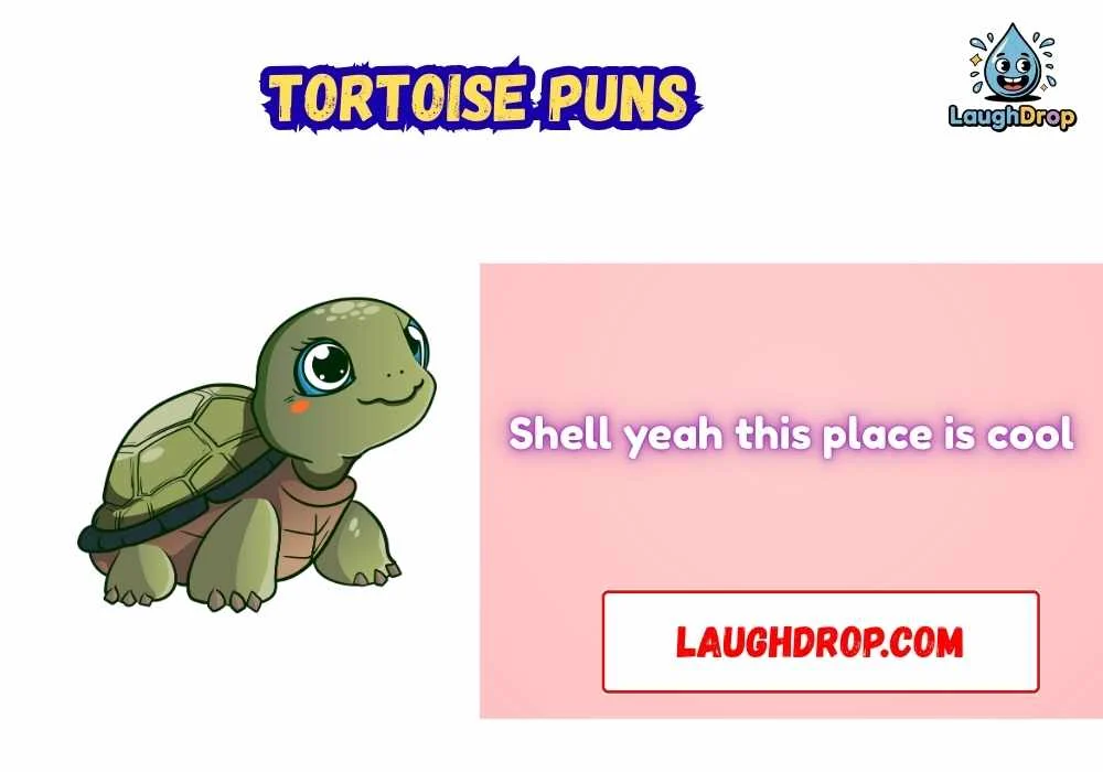 Clever Tortoise Wordplay