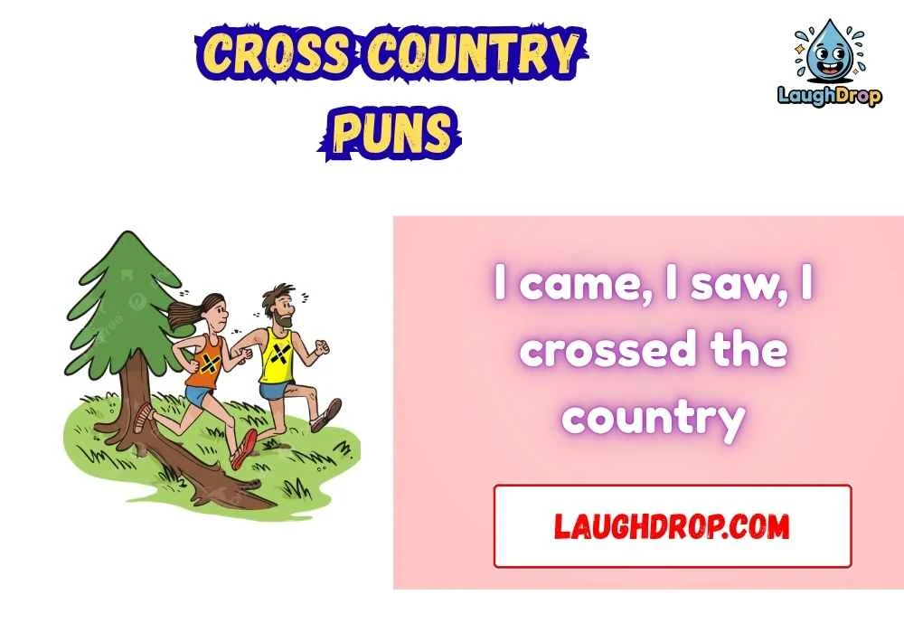 Cross country puns
