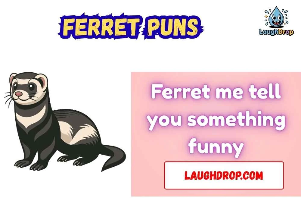 Ferret Puns