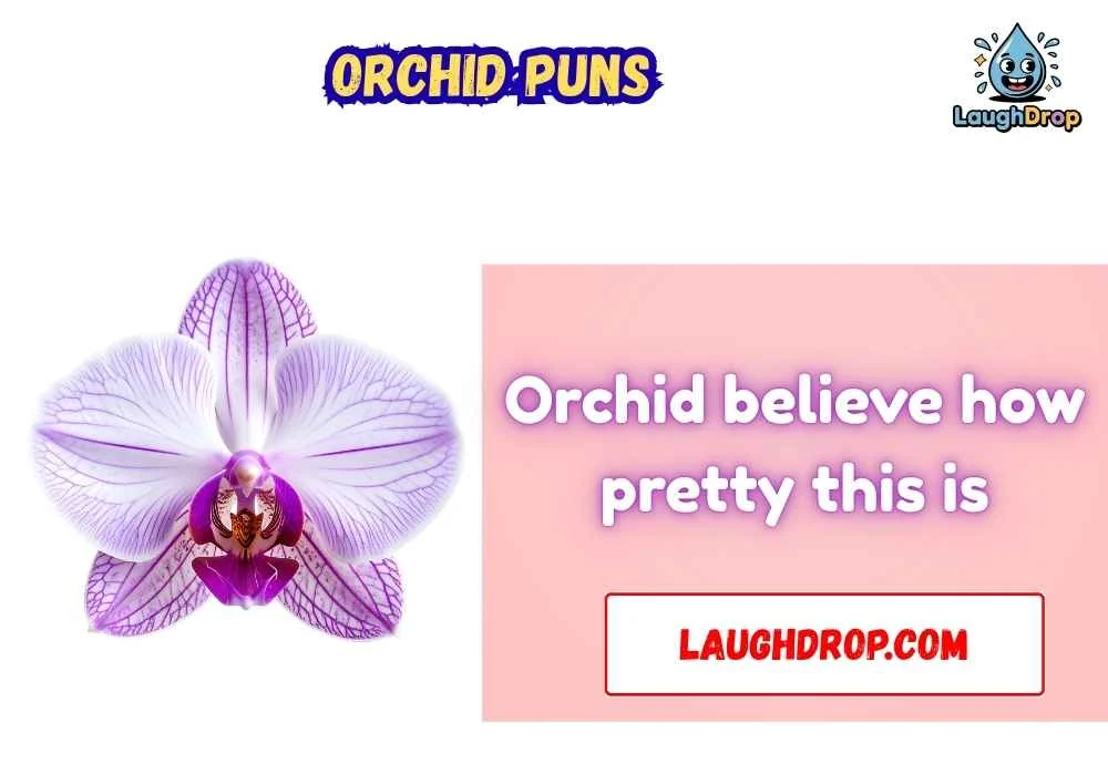 Orchid Puns