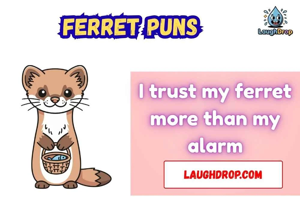 Snappy Ferret One Liner Jokes