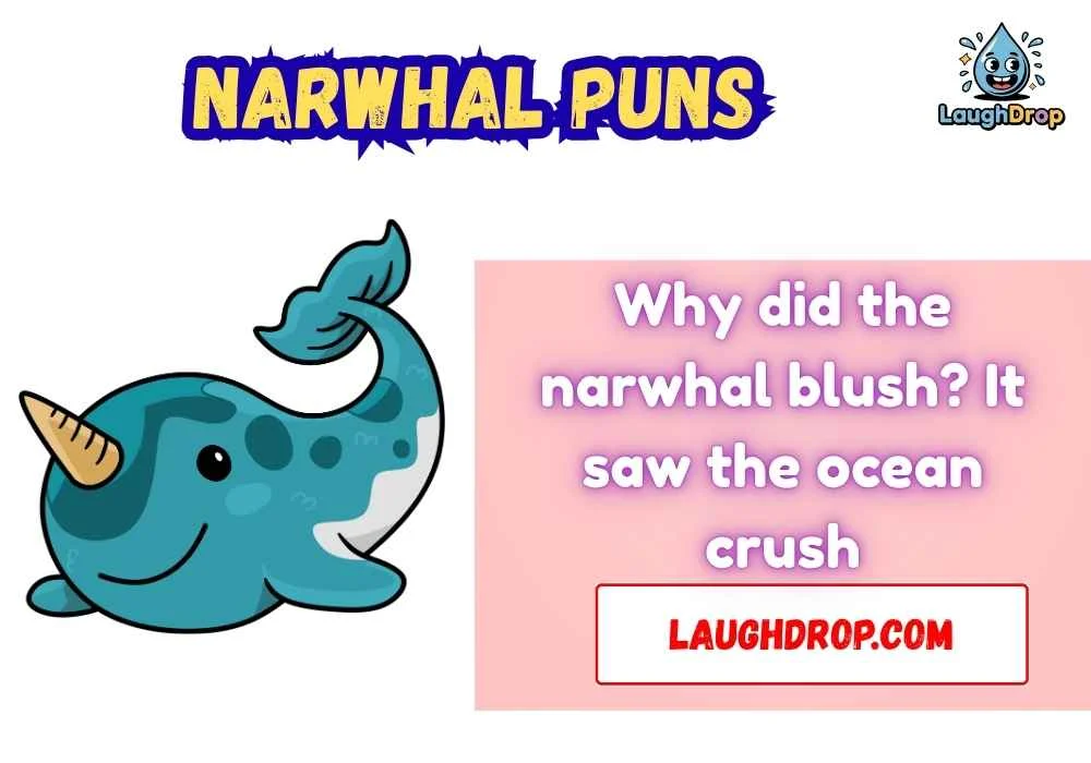 Snappy Narwhal One Liner Jokes