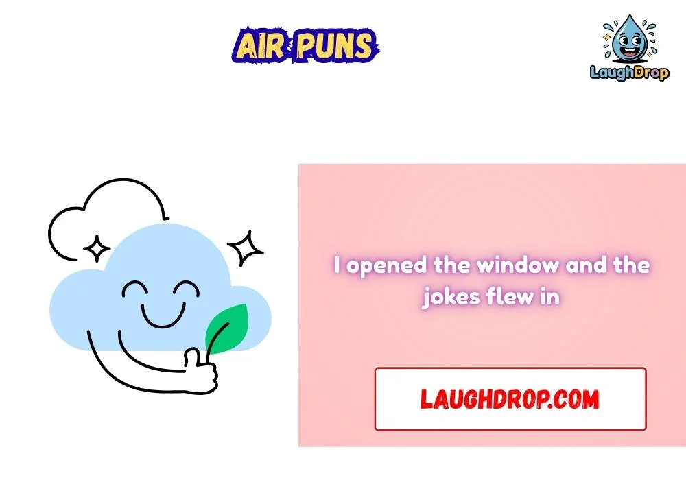 The Best Air Jokes