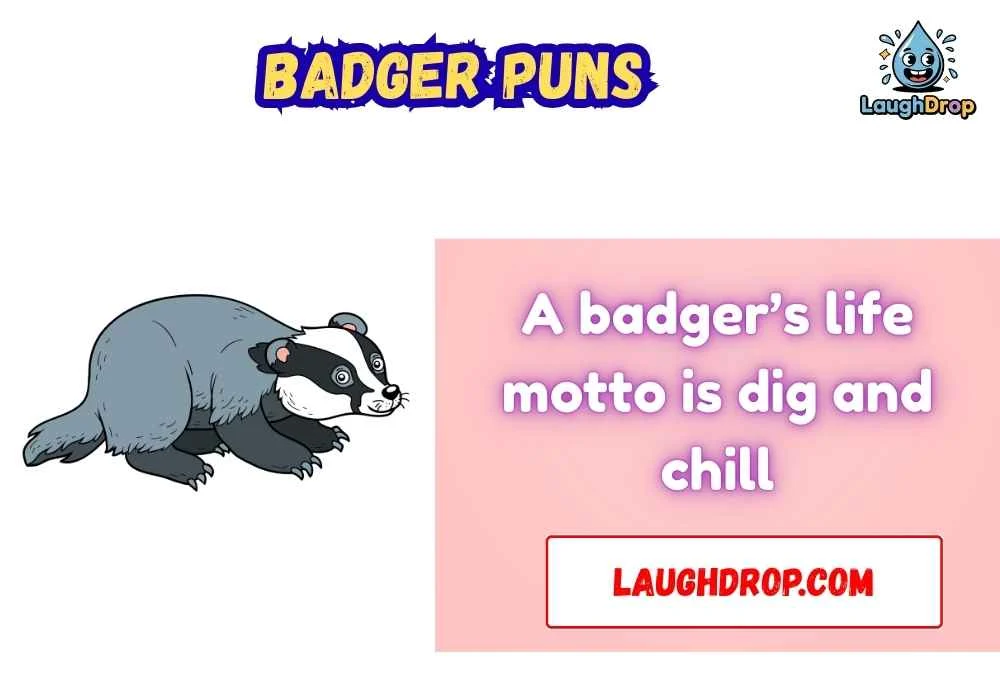 The Best Badger Jokes
