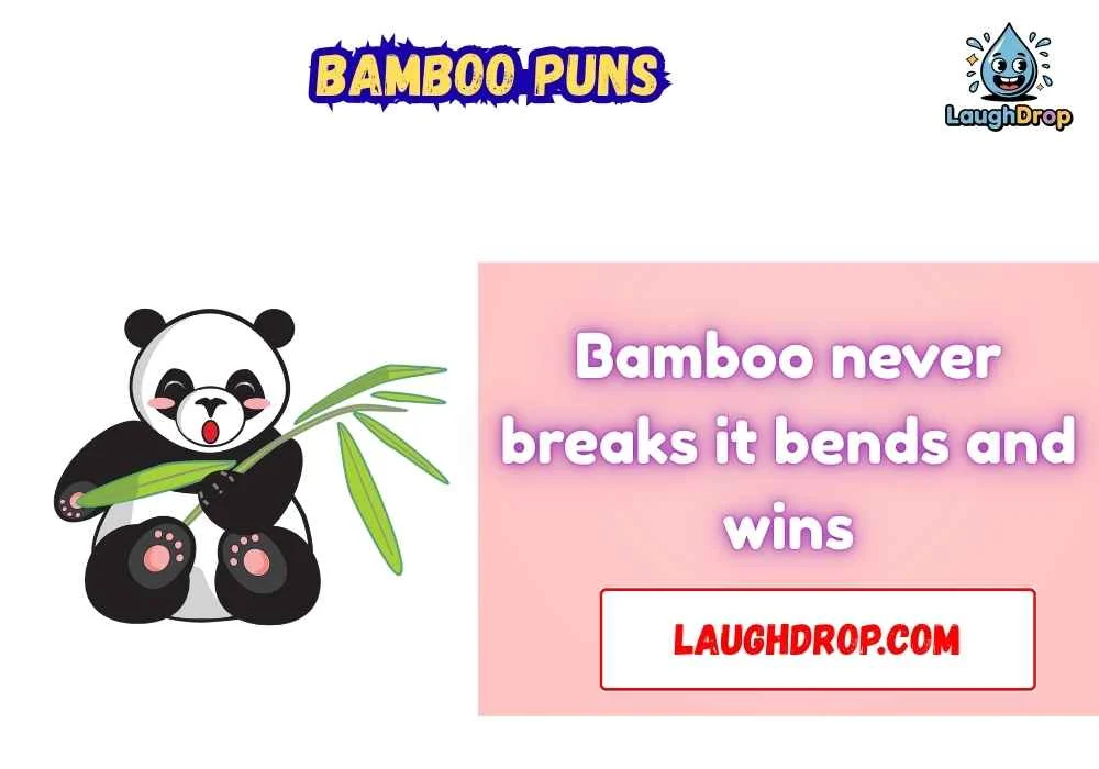 The Best Bamboo Jokes & Wordplays Ever