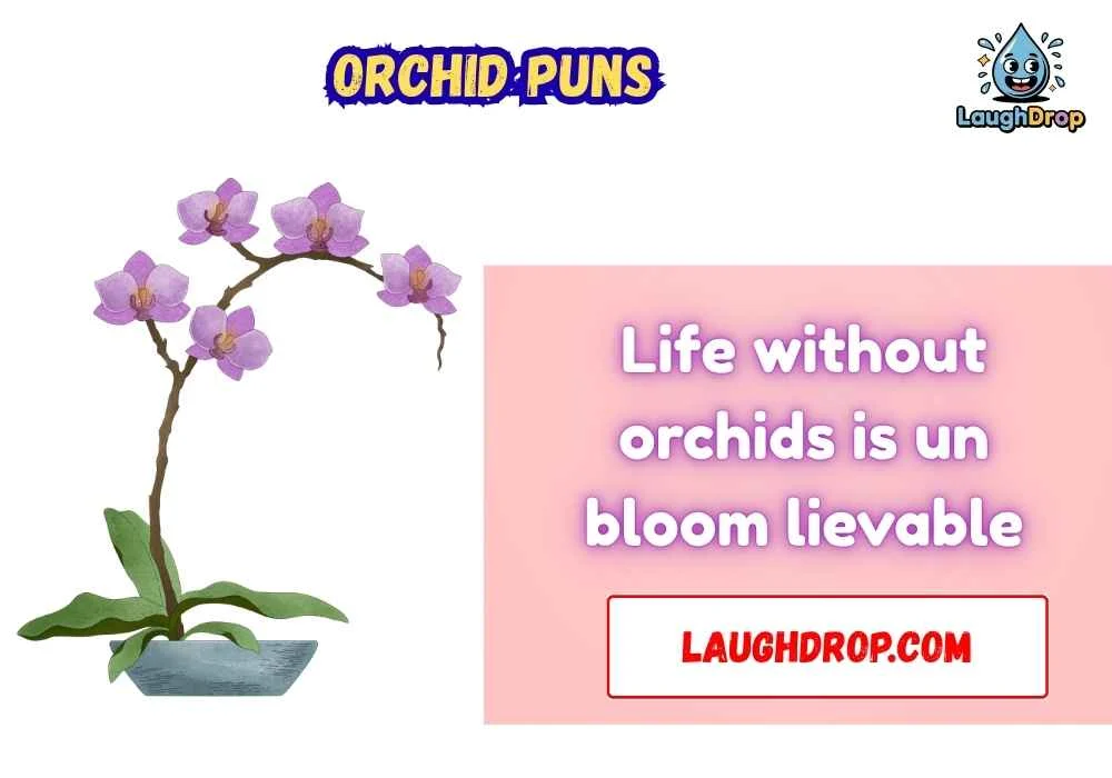 The Best Orchid Jokes & Wordplays Ever