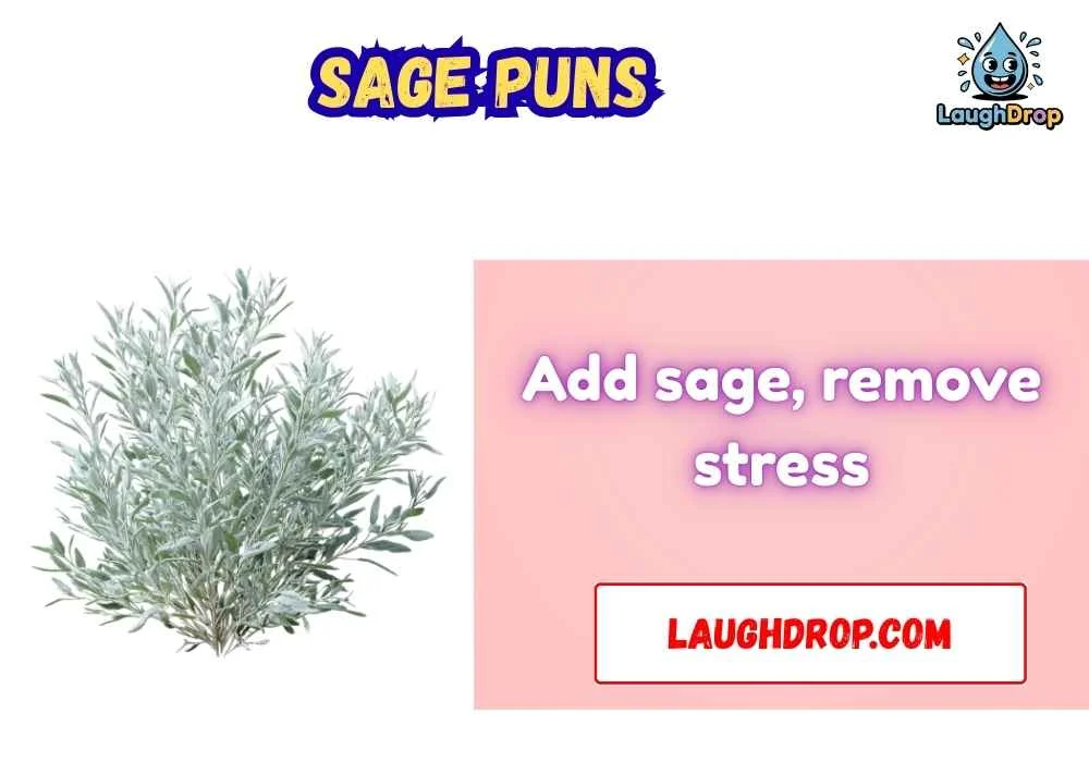The Best Sage Jokes
