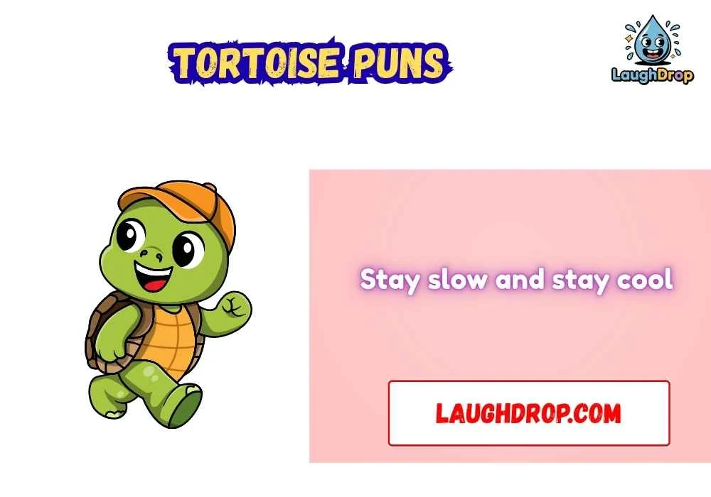 Tortoise Puns