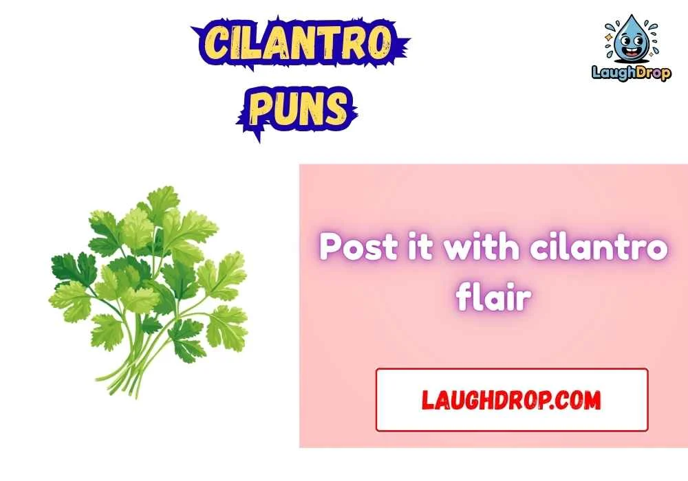 Witty Cilantro Puns