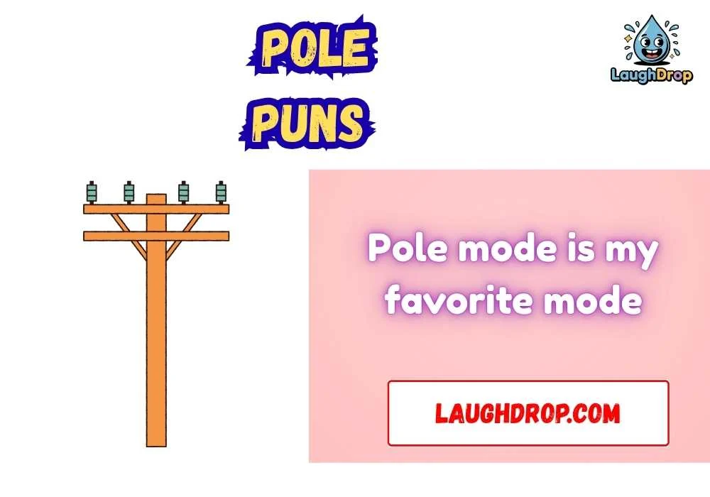 Witty Pole Puns