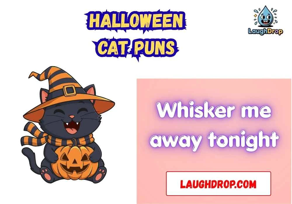 Clever Halloween Cat Wordplay
