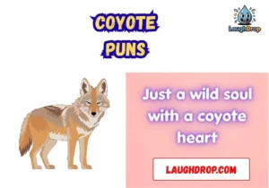 Coyote puns