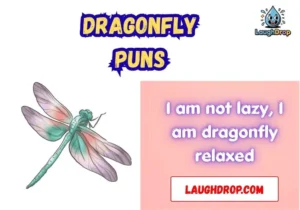 Dragonfly Puns