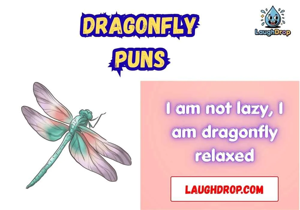 Dragonfly Puns