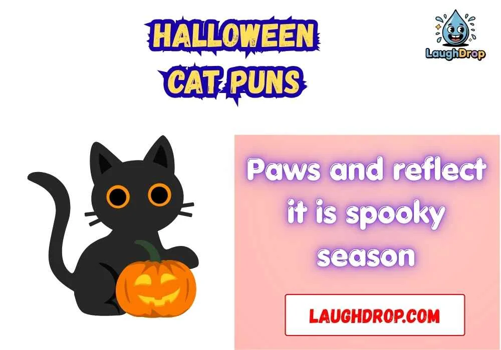 Halloween Cat Puns