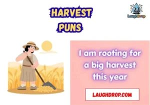 Harvest puns