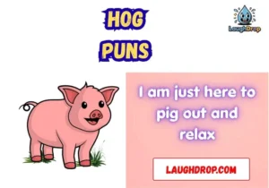 Hog puns