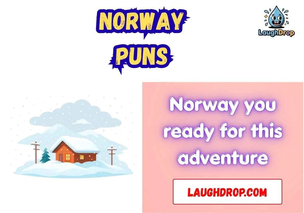 Norway Puns