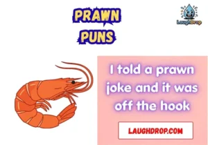 Prawn Puns