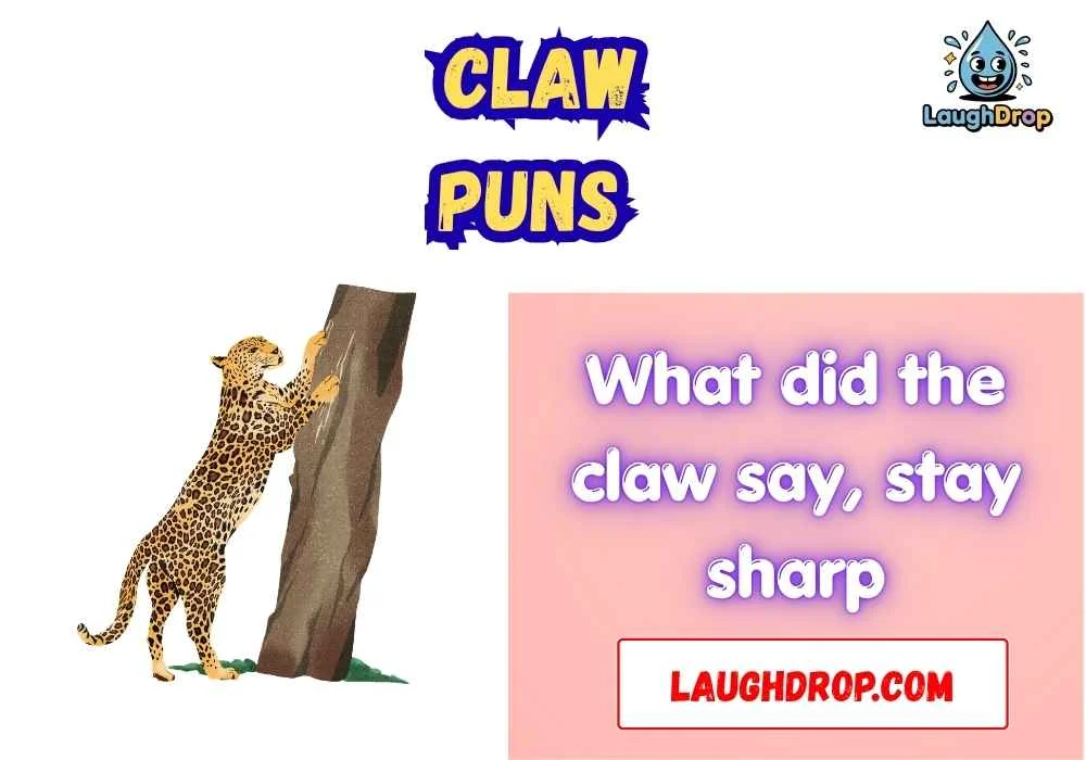 The Best Claw Jokes