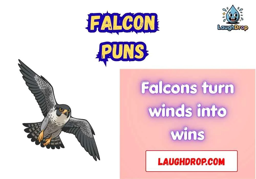 The Best Falcon Jokes