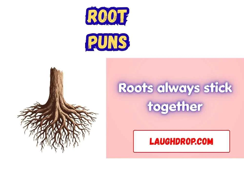 The Best Root Jokes