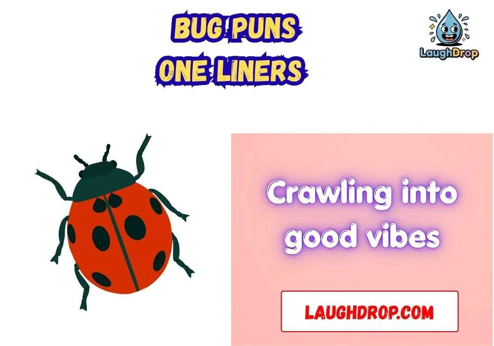Witty Bug Puns