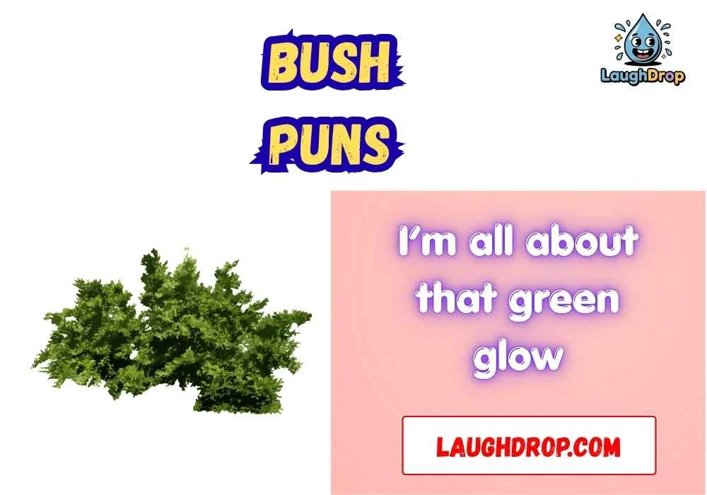 Witty Bush Puns
