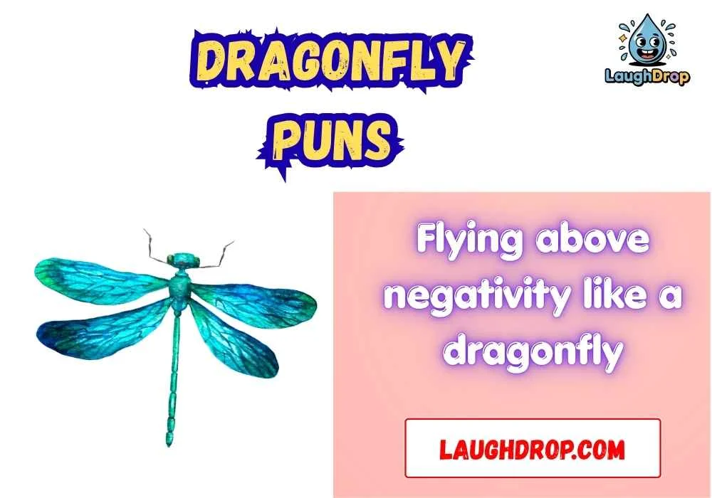Witty dragonfly puns