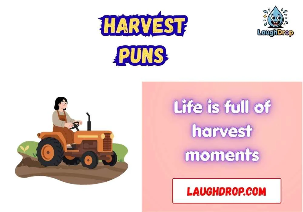 Witty Harvest Puns