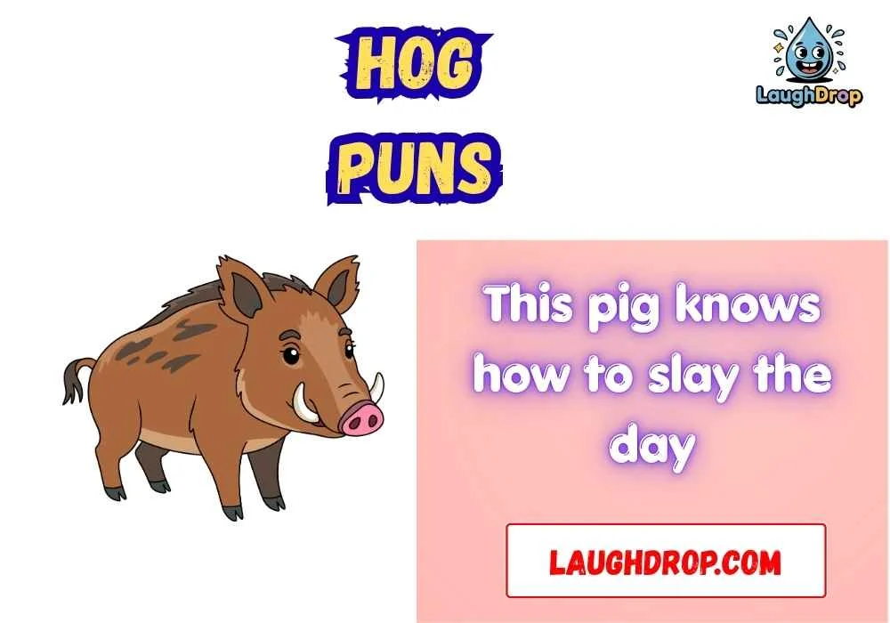 Witty Hog Puns