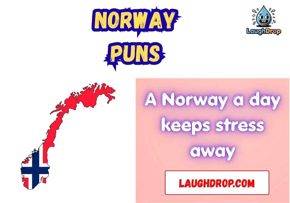 Witty Norway Puns