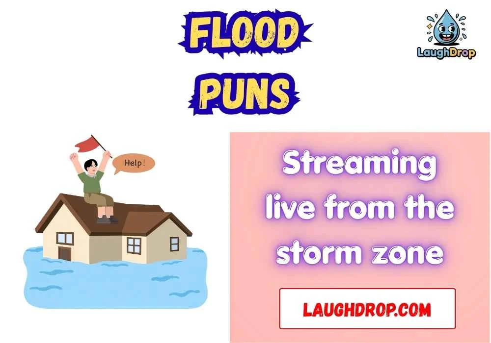 Clever Flood Wordplay