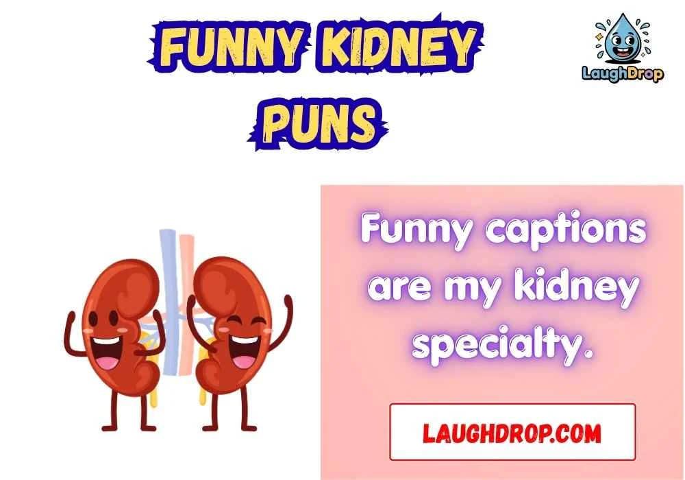 Clever Funny Kidney Wordplay