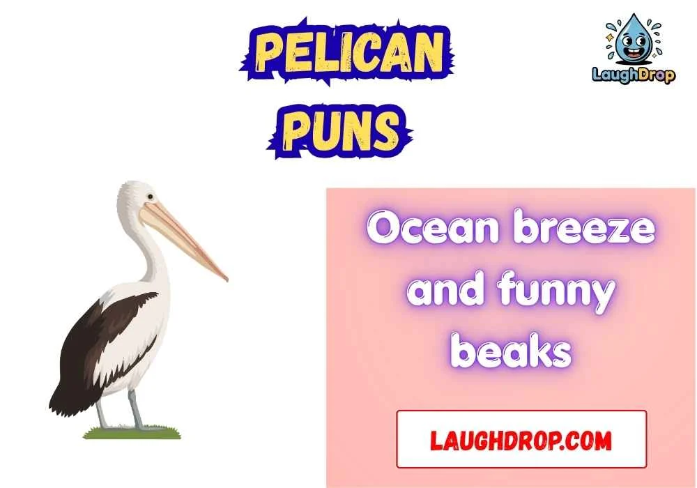 Clever Pelican Wordplay
