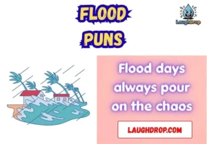 Flood Puns