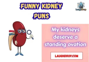 Funny kidney puns
