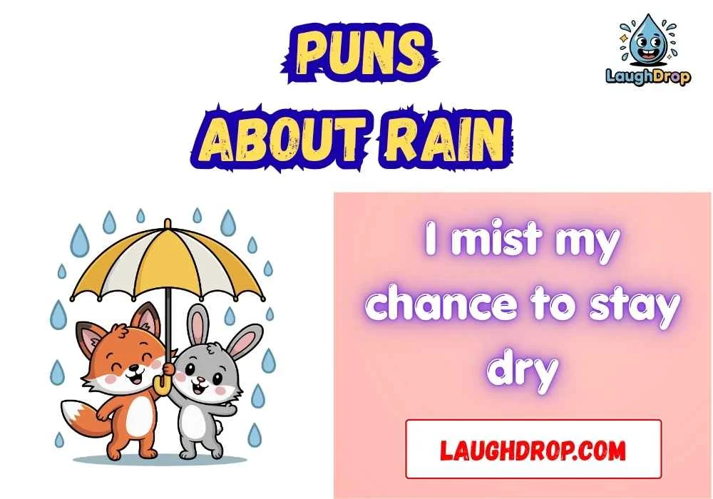 Puns About Rain