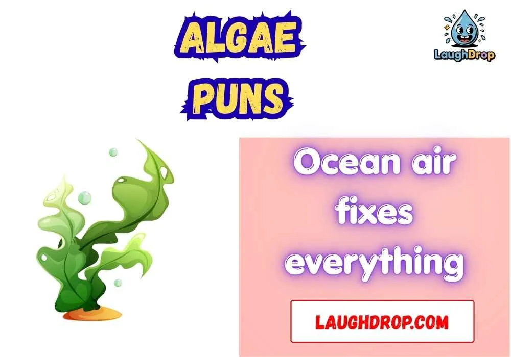 Quick & Short Algae Puns