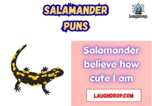 Salamander Puns