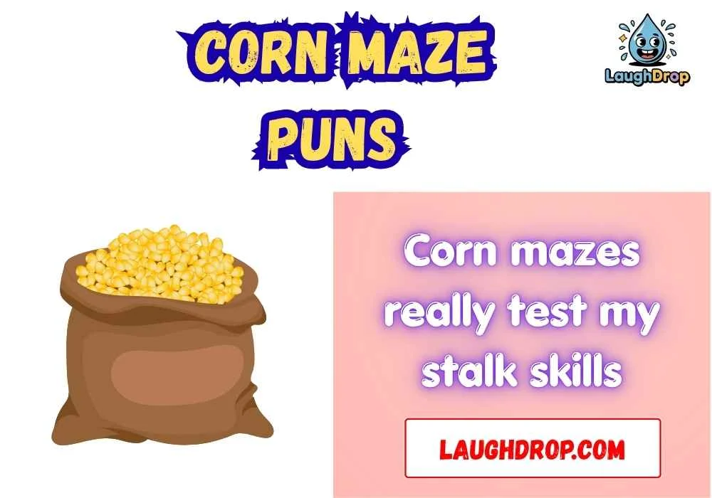 Snappy Corn Maze One-Liner Jokes